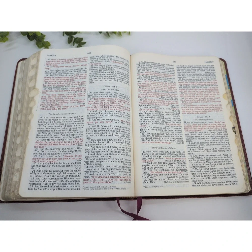 RARE 1979 LOCKMAN🚨The Open Bible Nelson Maroon Genuine Leather NASB Red Letter
